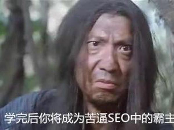 苦逼SEO如何實(shí)現(xiàn)自身價(jià)值的提升?增加收入 第五張