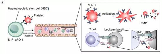  圖片來(lái)源：Nature Biomedical Engineering