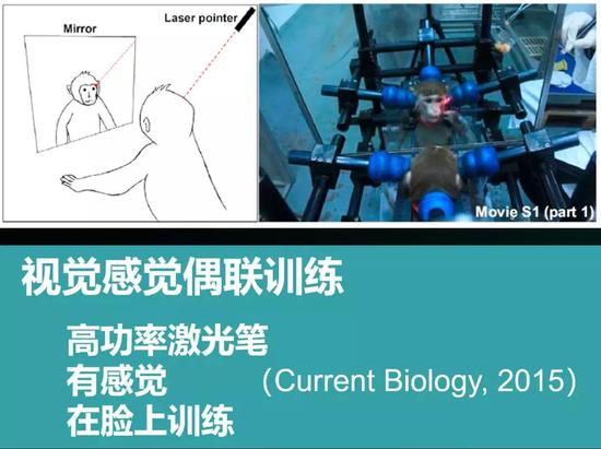 視覺本體位置偶聯(lián)訓練
