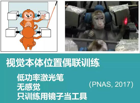 視覺本體位置偶聯(lián)訓練