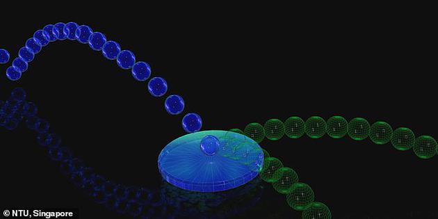 不同于經(jīng)典粒子，量子粒子可以作為“量子疊加態(tài)”、同時朝多個方向移動?？茖W(xué)家Mile Gu和格里菲斯大學(xué)的研究人員利用這一現(xiàn)象，打造了一臺能夠生成由多種未來構(gòu)成的疊加態(tài)的量子計算機。