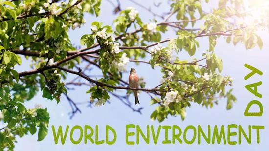 （圖片來(lái)源：veer圖庫(kù)）