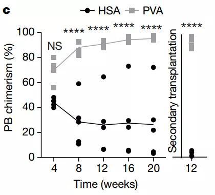 移植實驗：PVA，強，無敵！