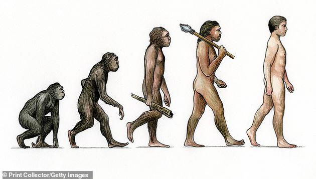 科學(xué)家發(fā)現(xiàn)幾十種基因，認(rèn)為它們可能在人類進(jìn)化歷程中發(fā)揮著關(guān)鍵作用。