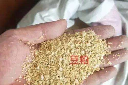 中國用尾氣合成出蛋白質(zhì) 這個全球首次的技術(shù)為啥還被噴了？