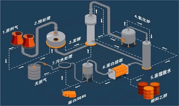 中國用尾氣合成出蛋白質(zhì) 這個全球首次的技術(shù)為啥還被噴了？