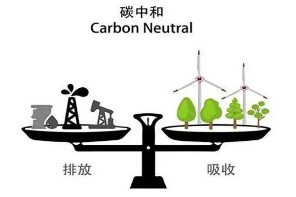 中國用尾氣合成出蛋白質(zhì) 這個全球首次的技術(shù)為啥還被噴了？
